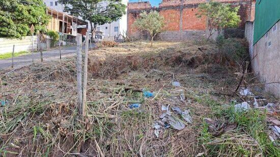 Terreno Parque Independência, Juiz de Fora - MG