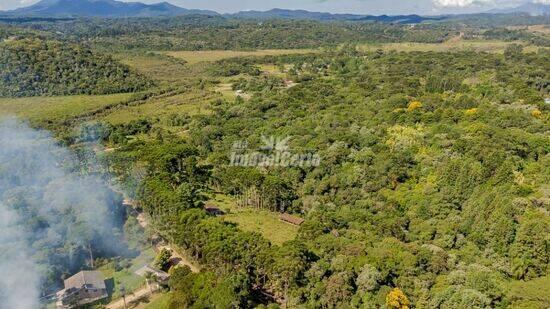 Borda Do Campo - São José dos Pinhais - PR, São José dos Pinhais - PR