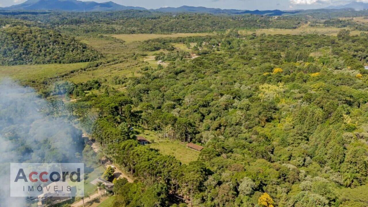 Chácara Borda Do Campo, São José dos Pinhais - PR