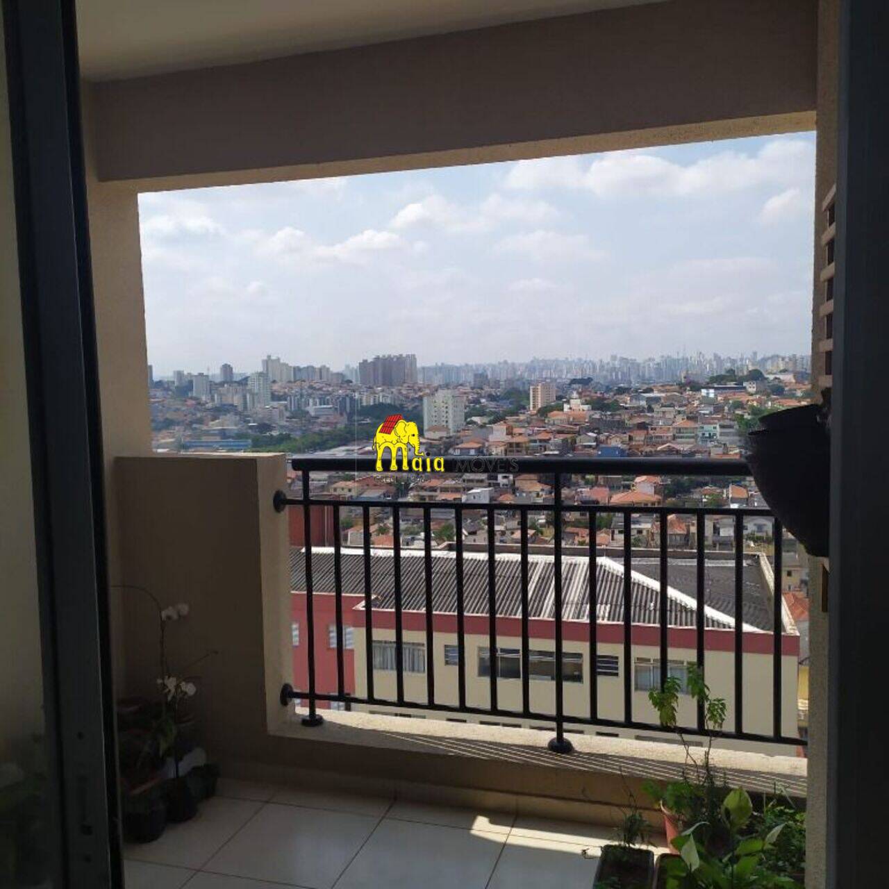 Apartamento Vila Palmeiras, São Paulo - SP