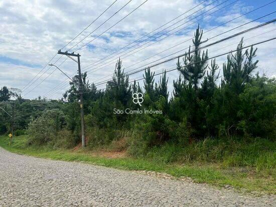 Granja Viana - Cotia - SP, Cotia - SP