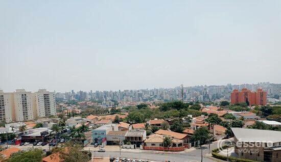 Jardim das Paineiras - Campinas - SP, Campinas - SP