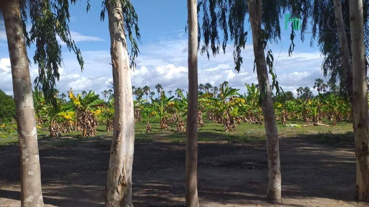 Sítio Região Bom Intento, Boa Vista - RR