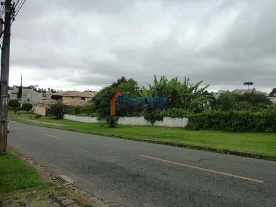 Terreno na Francisco Schaffer - Vista Alegre - Curitiba - PR, aluguel por R$ 1.500