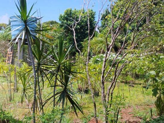 Usina Três Bocas - Londrina - PR, Londrina - PR