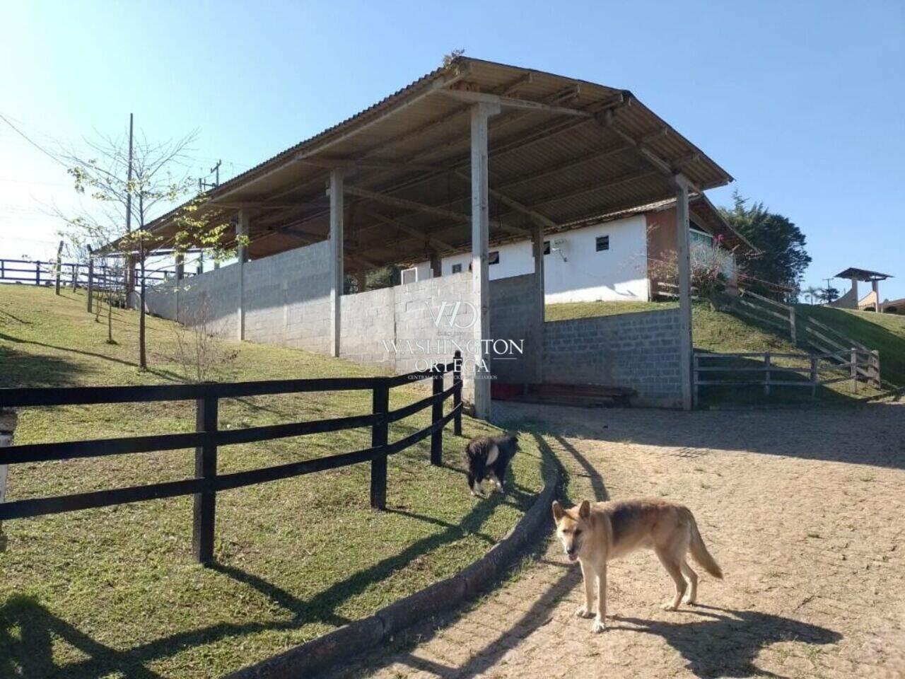 Haras Colônia Murici, São José dos Pinhais - PR