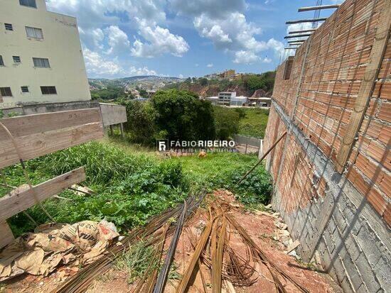 Jardim dos Inconfidentes  - Conselheiro Lafaiete - MG, Conselheiro Lafaiete - MG