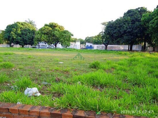 Conjunto Habitacional Castelo Branco - Araçatuba - SP, Araçatuba - SP