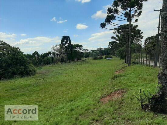 Chácaras Olhos D´água - Campina Grande do Sul - PR, Campina Grande do Sul - PR