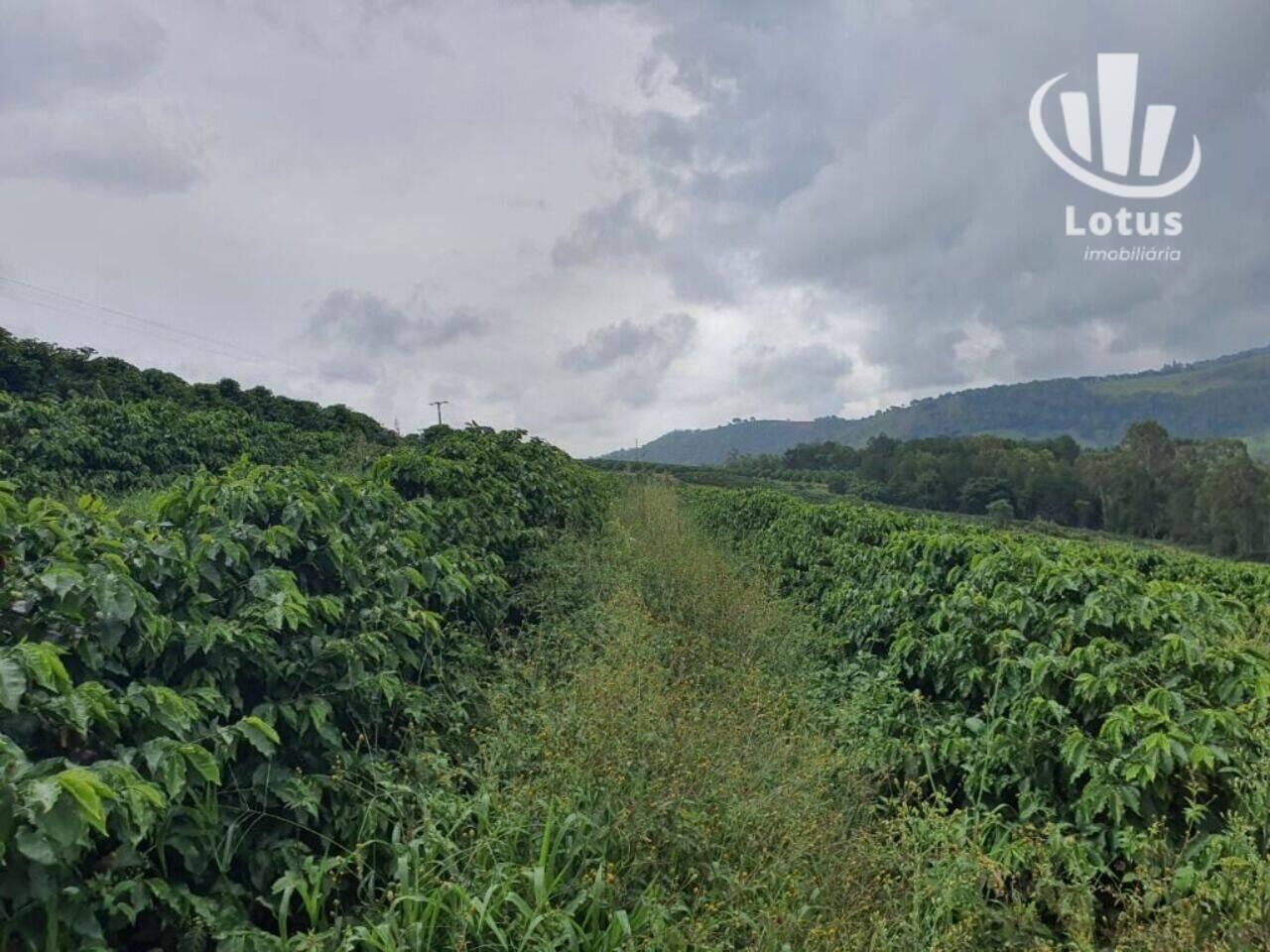 Fazenda Zona Rural, São Gonçalo do Sapucaí - MG