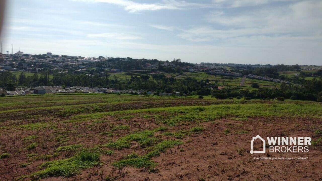 Sítio Estrada do Cipó, Mandaguaçu - PR