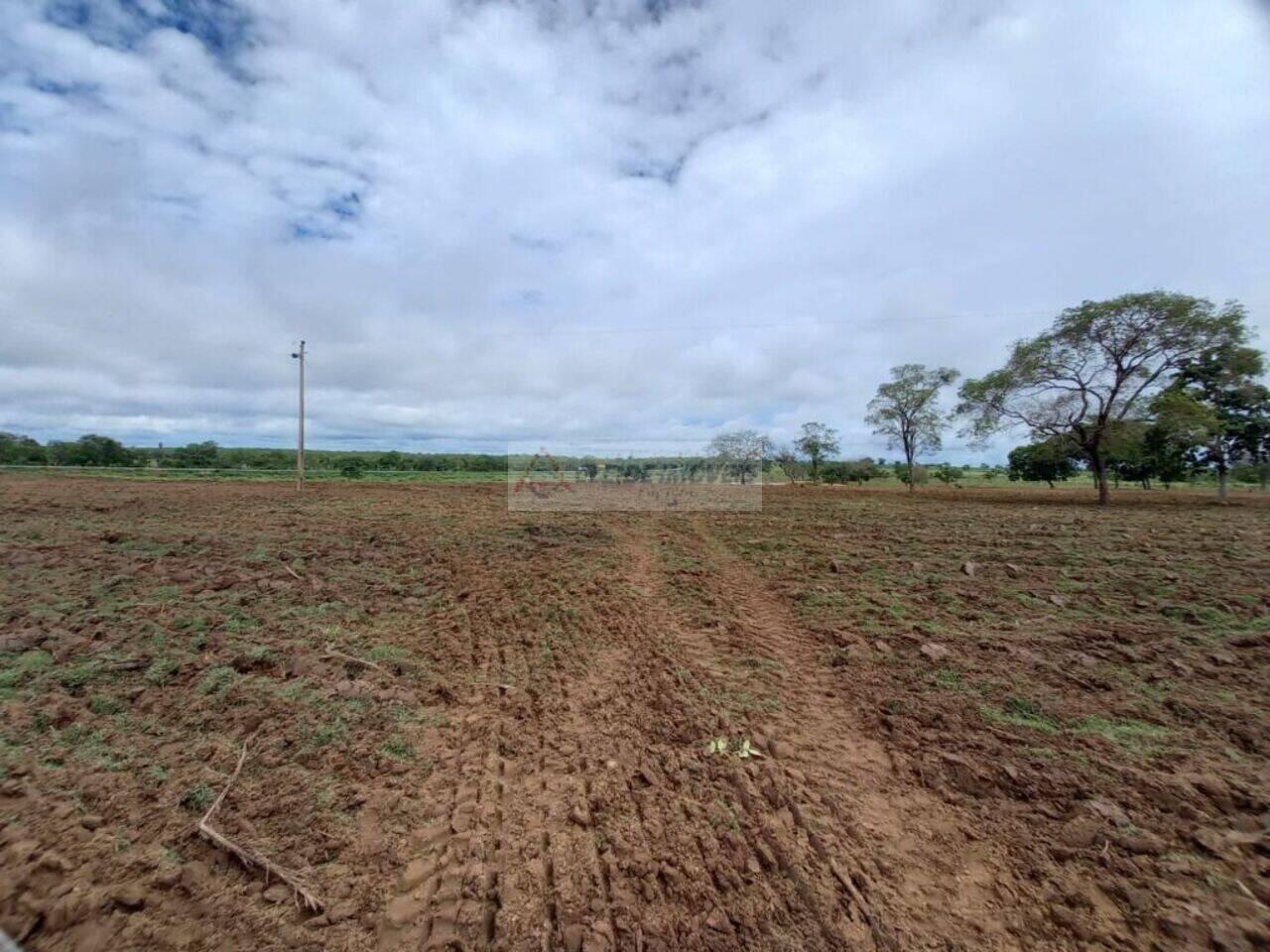 Fazenda Zona Rural, Jangada - MT