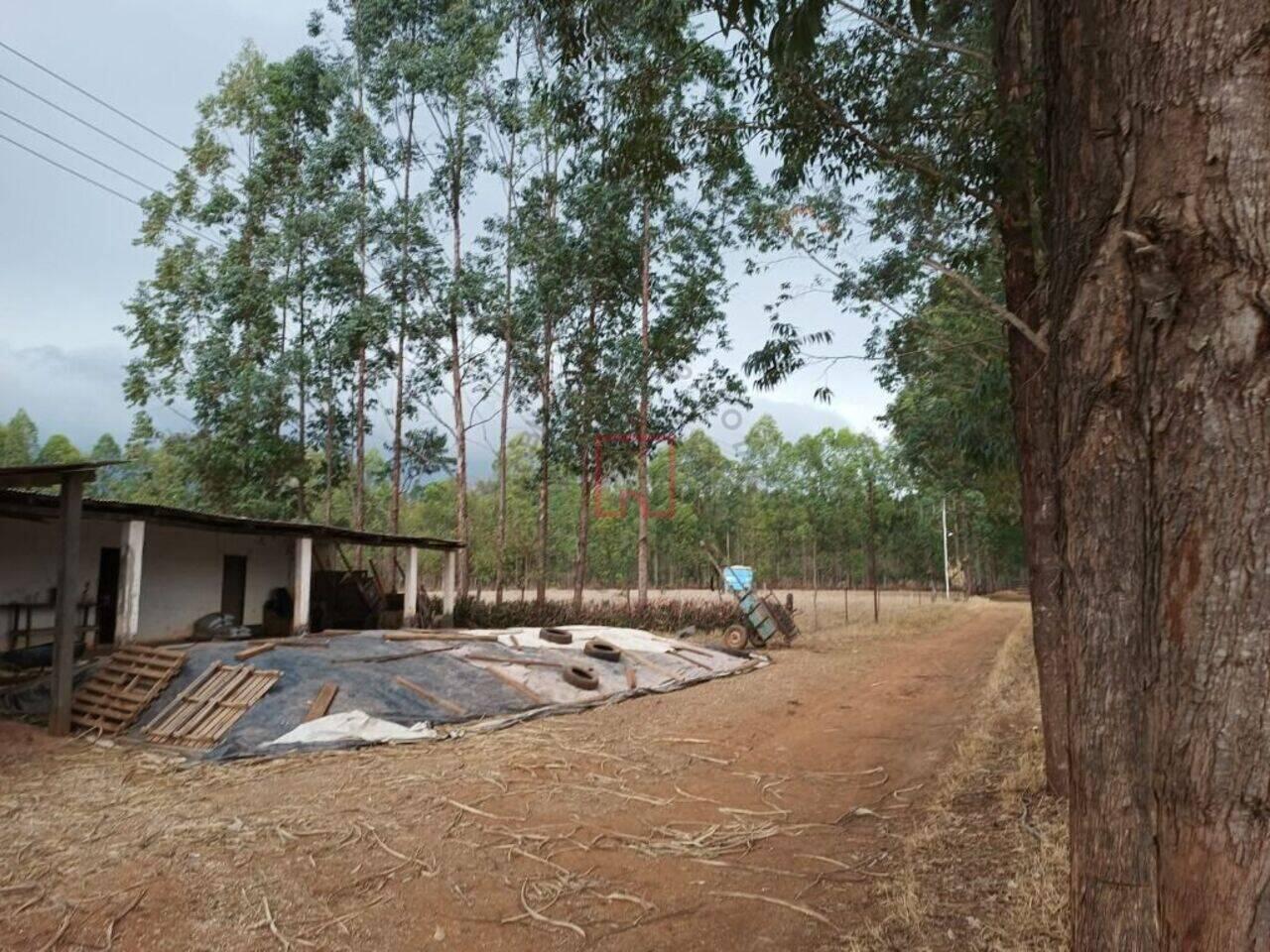 Fazenda Zona Rural, Brasília de Minas - MG