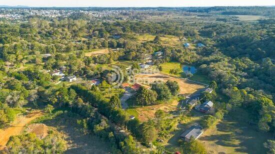 Cayva - Piraquara - PR, Piraquara - PR