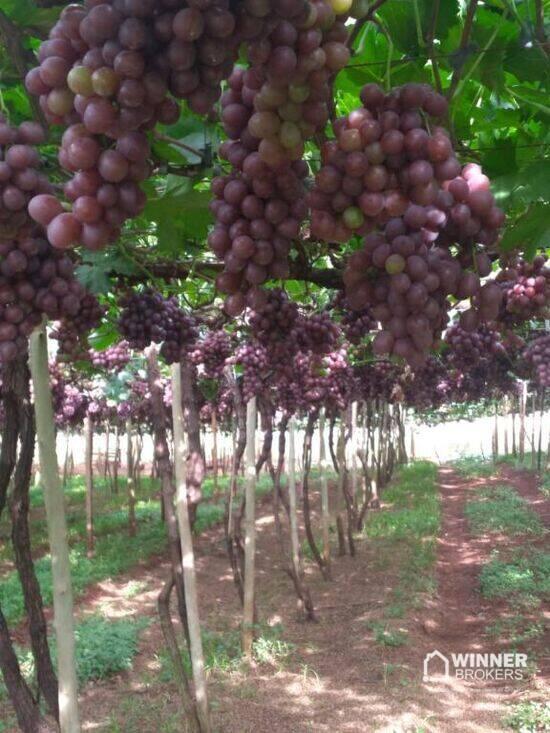 Área de 3.000 m² Bairro Rural - Bom Sucesso, à venda por R$ 160.000