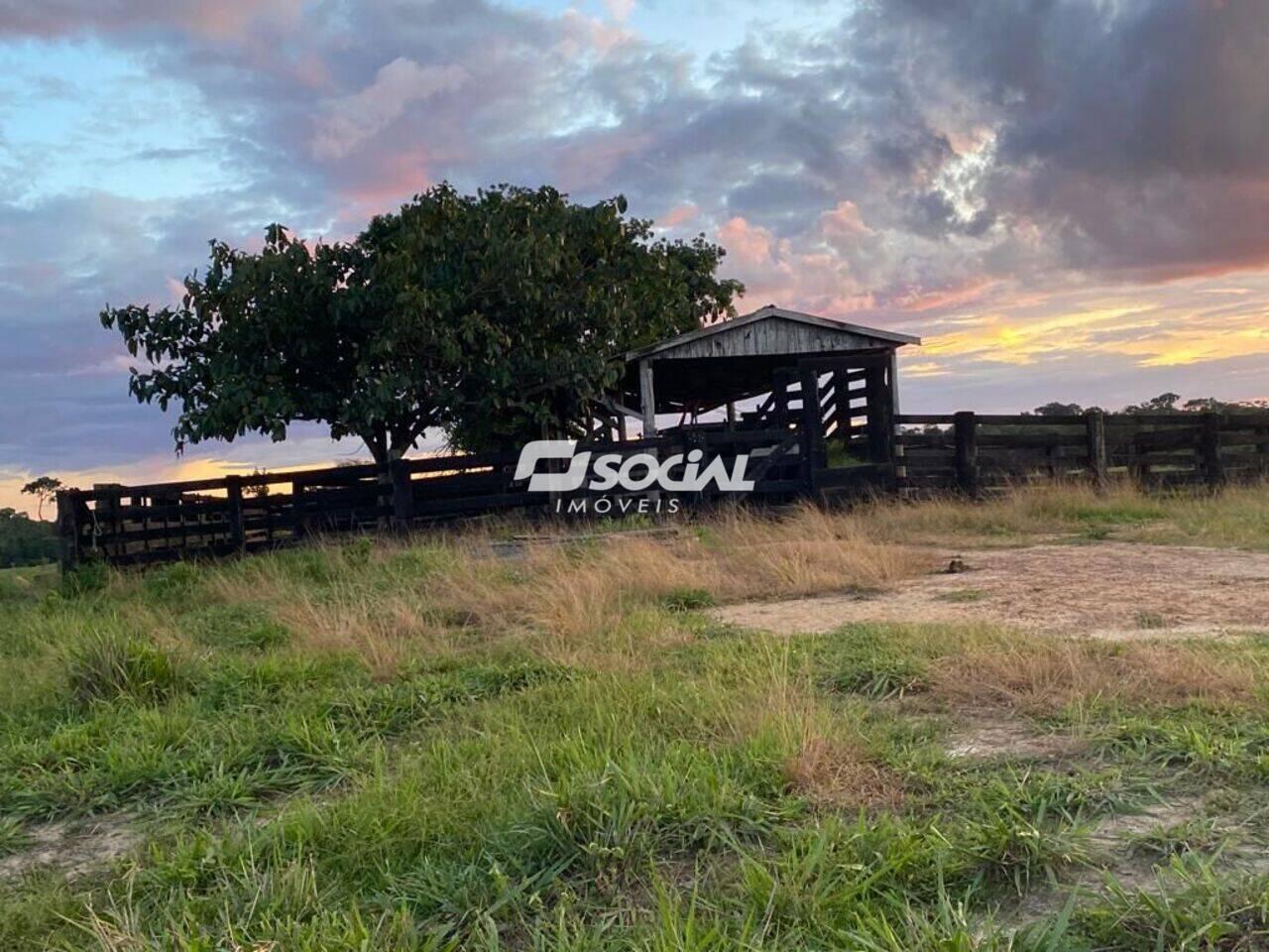 Fazenda Área Rural de Porto Velho, Porto Velho - RO