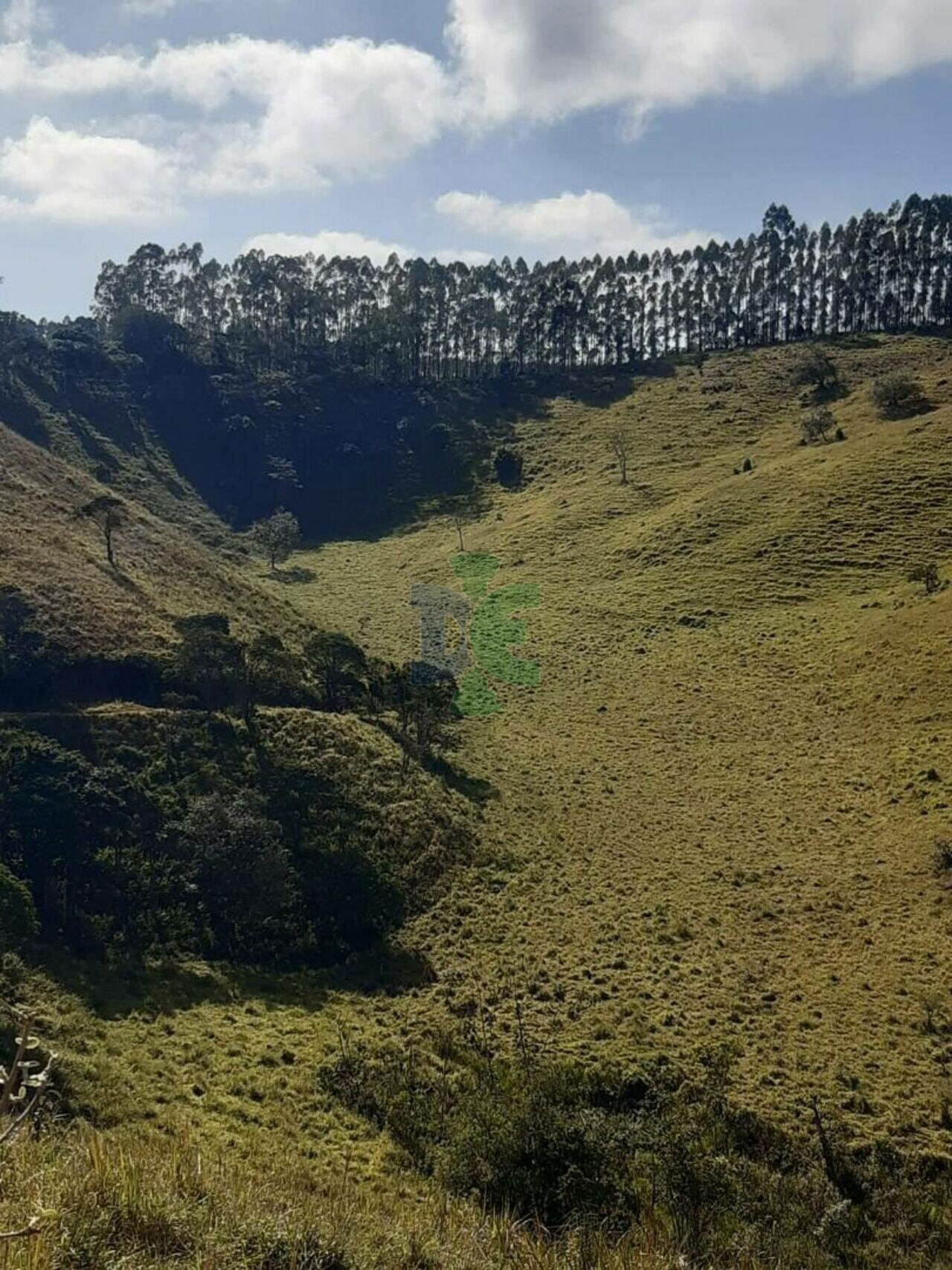 Sítio Bandeira Branca, Jacareí - SP