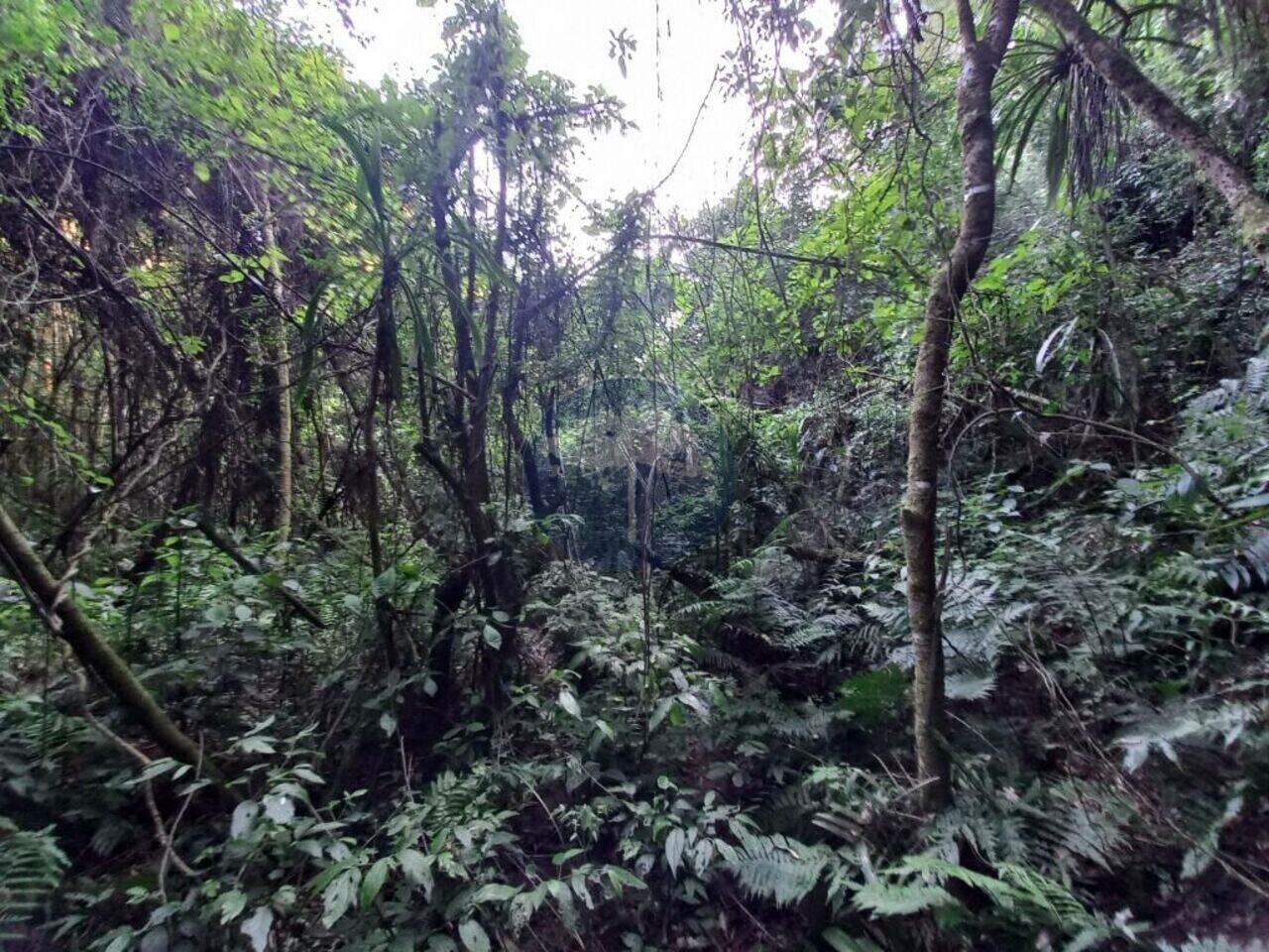 Chácara Feixo do Boteatuva, Lapa - PR