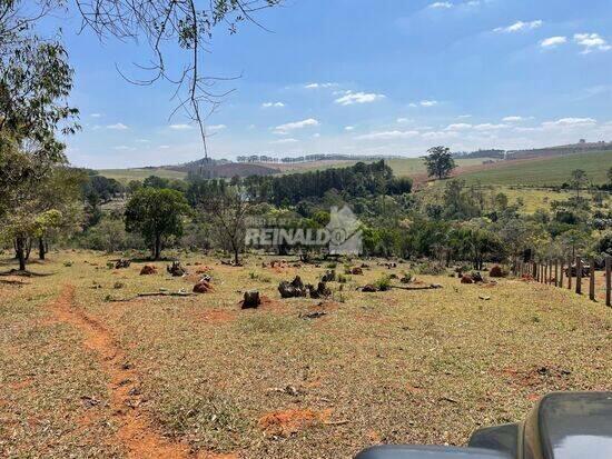 Biriça do Valado - Bragança Paulista - SP, Bragança Paulista - SP