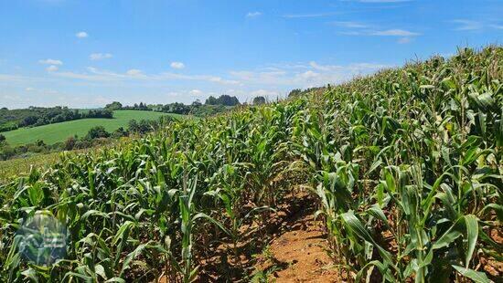 Zona Rural - Araucária - PR, Araucária - PR