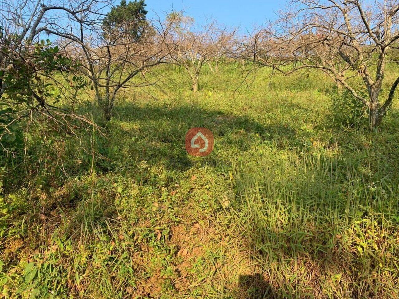 Terreno Cônego, Nova Friburgo - RJ