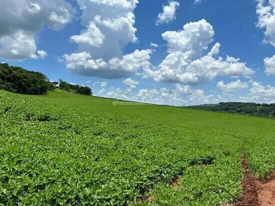 Rio Do Salto - Cascavel - PR, Cascavel - PR