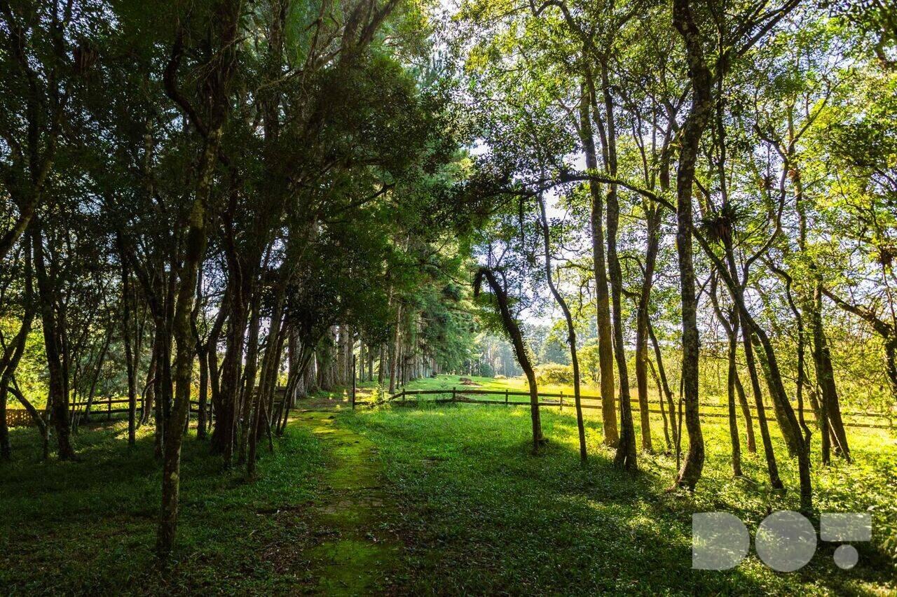 Sítio Colônia Murici, São José dos Pinhais - PR