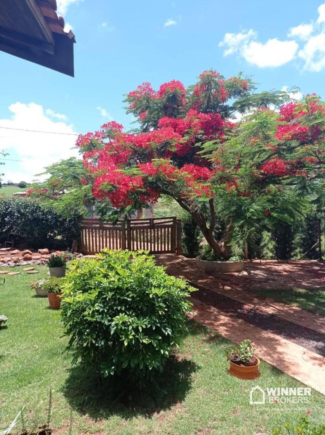 Chácara Zona Rural, Mandaguari - PR