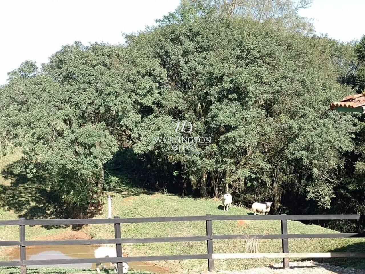 Haras Colônia Murici, São José dos Pinhais - PR