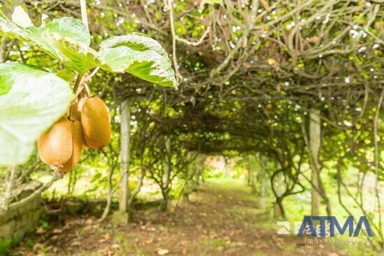 Jardim Boa Vista - Campo Largo - PR, Campo Largo - PR