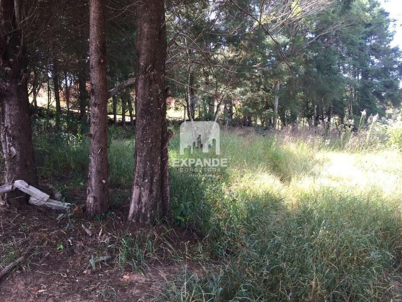 Terreno Nova Califórnia II (Rubião Junior), Botucatu - SP