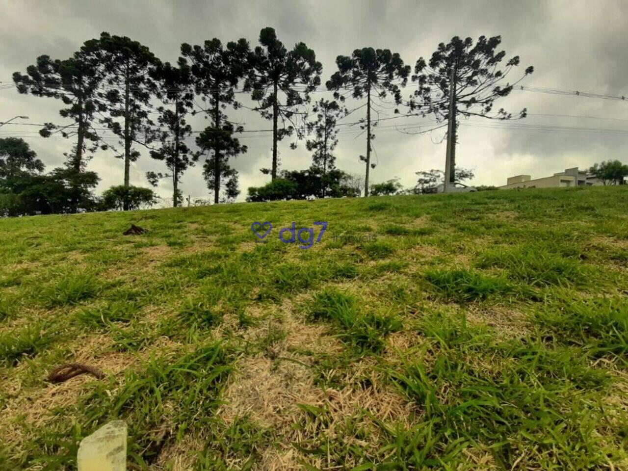 Terreno Cotia, Cotia - SP