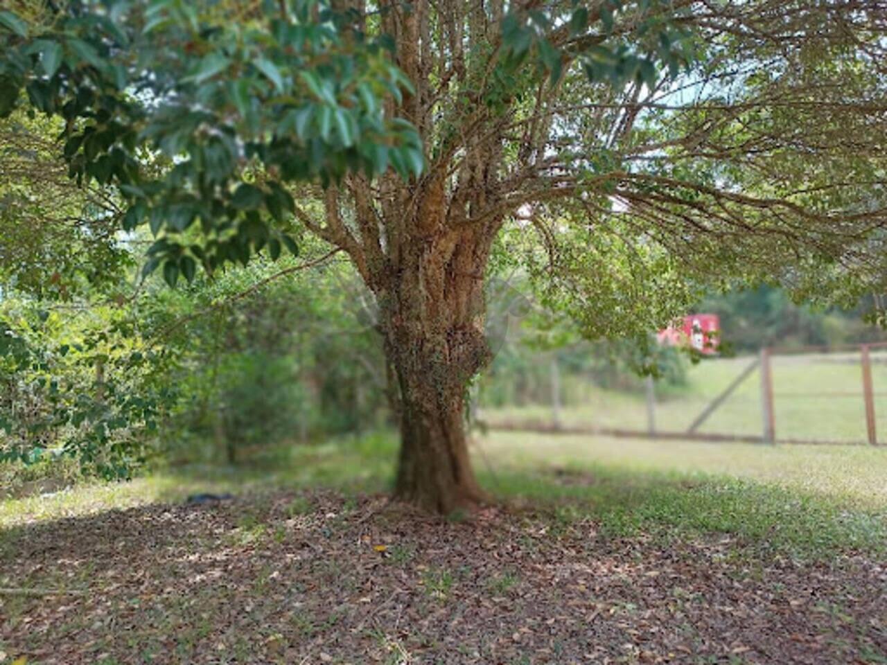 Chácara Pinheiral, Santa Cruz do Sul - RS