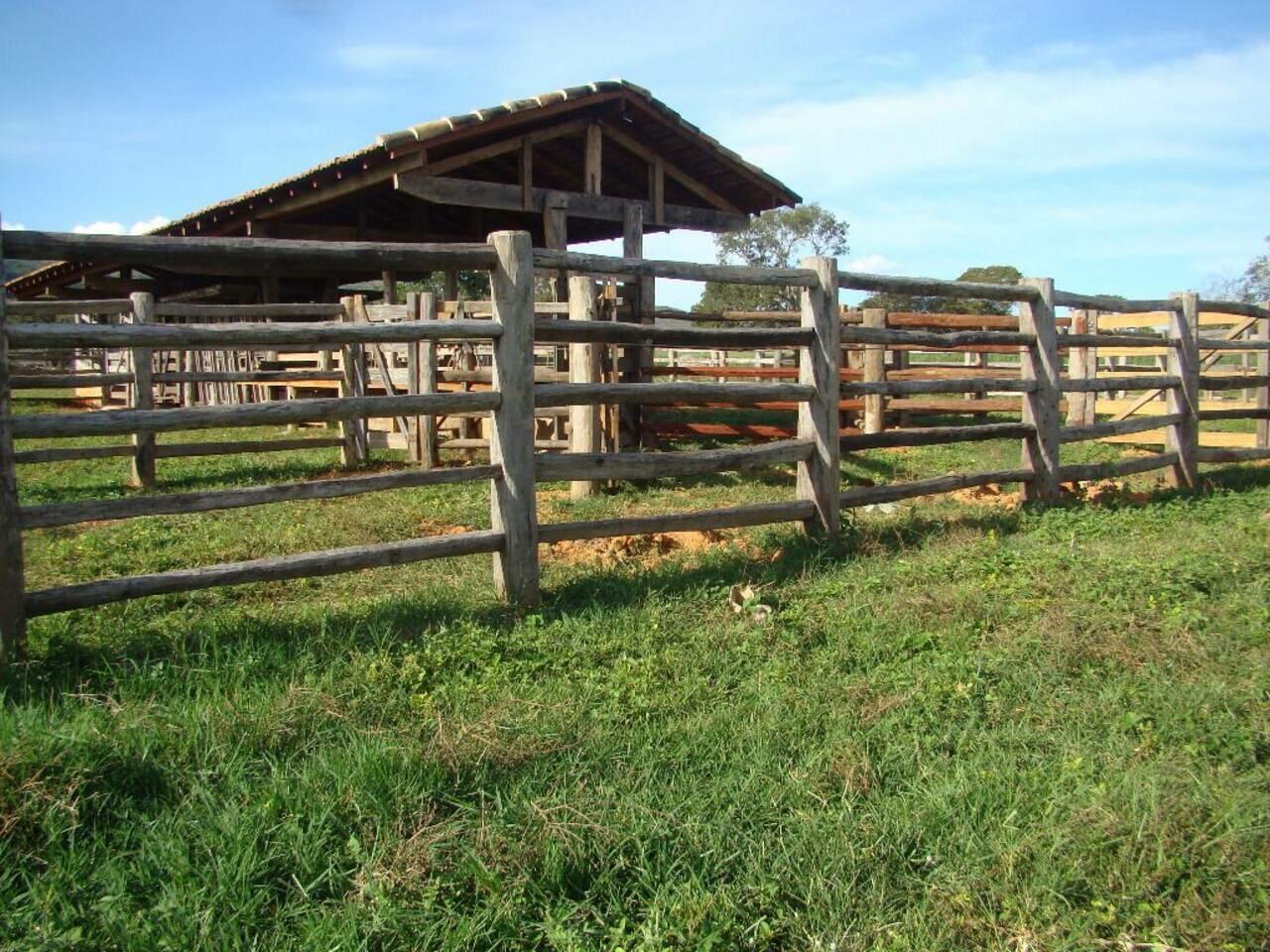 Fazenda Zona Rural, Buritis - MG