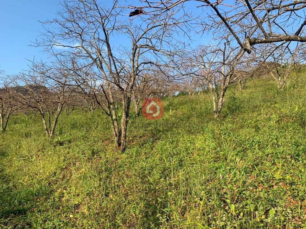 Terreno Cônego, Nova Friburgo - RJ