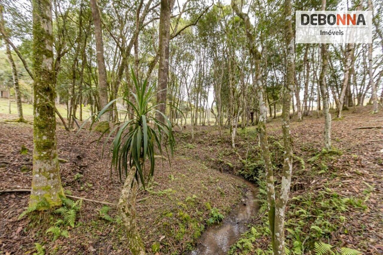 Chácara Mandassaia, Campina Grande do Sul - PR