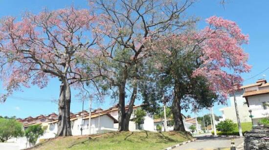 Casa GRANJA VIANA – RESIDENCIAL VIVA VIDA, Cotia - SP