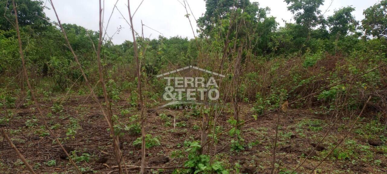 Fazenda Zona Rural, Paracatu - MG