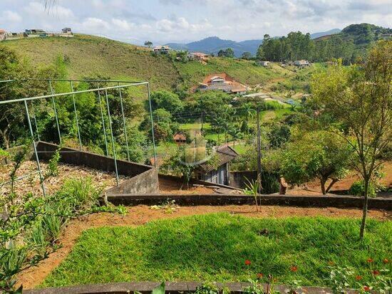 Pau de Saia - São José dos Campos - SP, São José dos Campos - SP