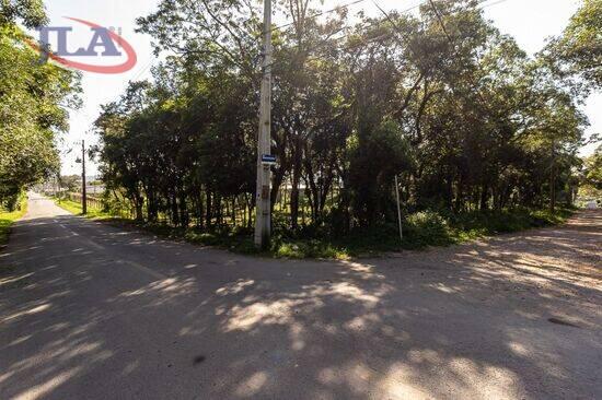 Terreno Borda Do Campo, São José dos Pinhais - PR