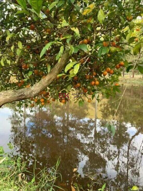 Zona Rural - São Luiz do Paraitinga - SP, São Luiz do Paraitinga - SP