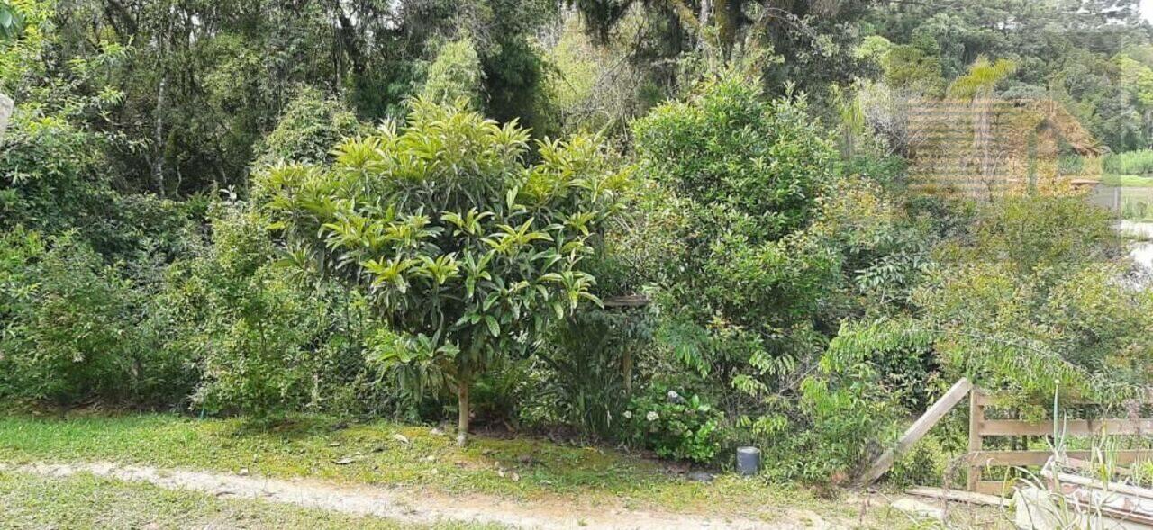 Chácara Zona Rural, Contenda - PR