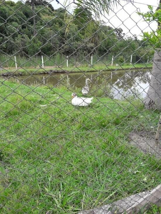 Zona Rural - Quitandinha - PR, Quitandinha - PR