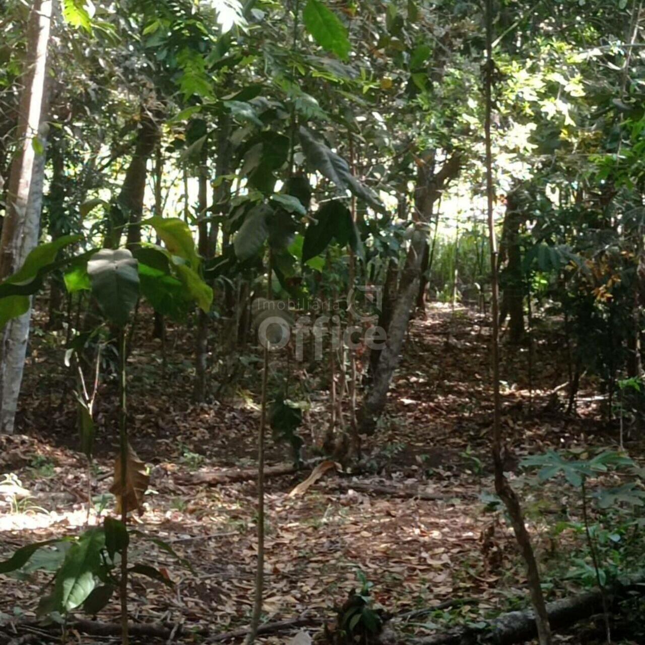 Chácara Zona Rural, Silvânia - GO