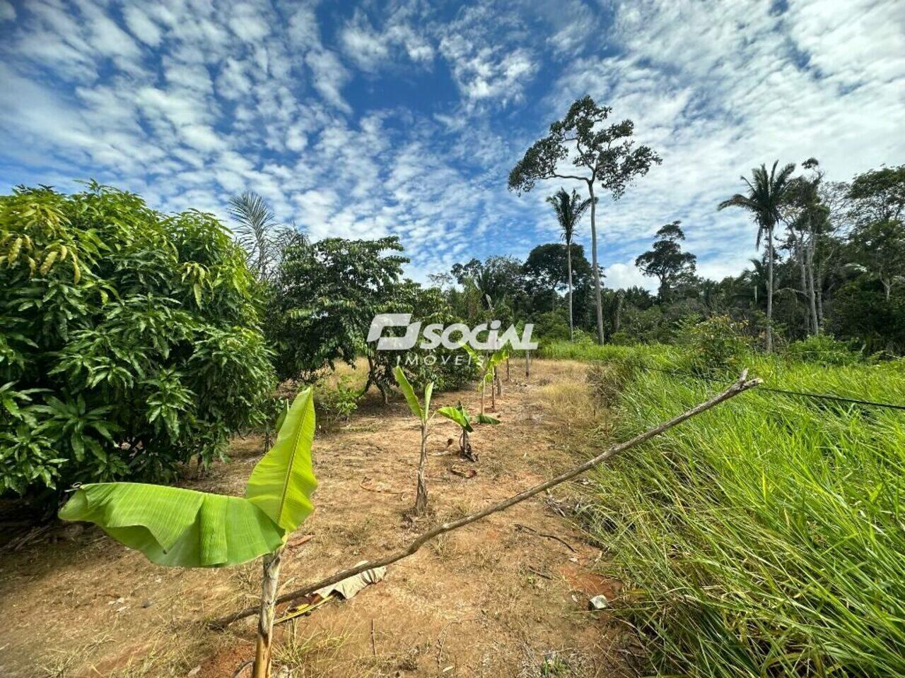 Fazenda Balsa, Porto Velho - RO