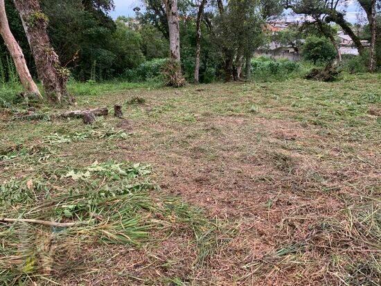 Borda Do Campo - São José dos Pinhais - PR, São José dos Pinhais - PR