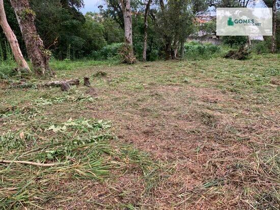 Borda Do Campo - São José dos Pinhais - PR, São José dos Pinhais - PR