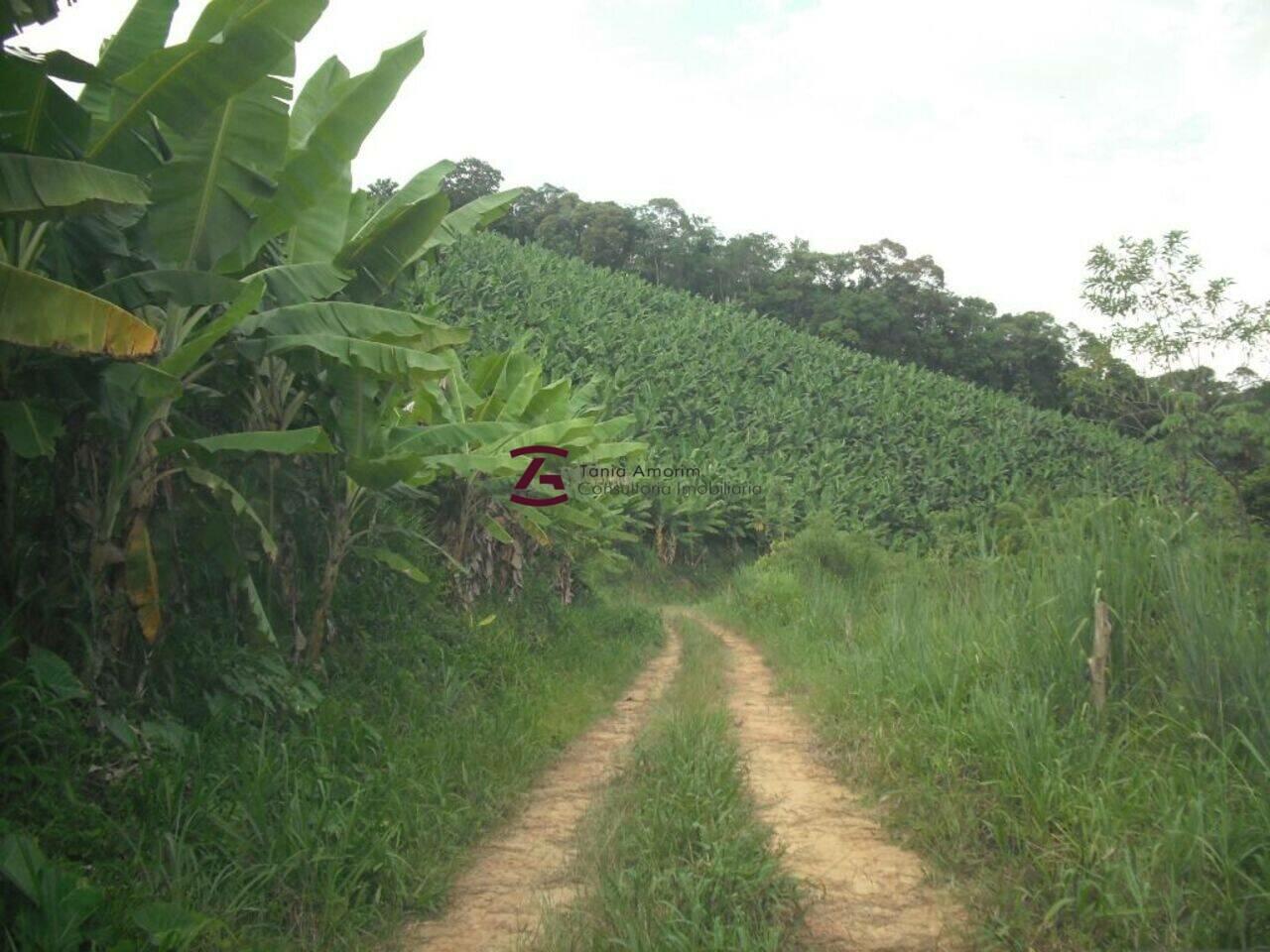 Fazenda Braço Do Pindauba, Jacupiranga - SP