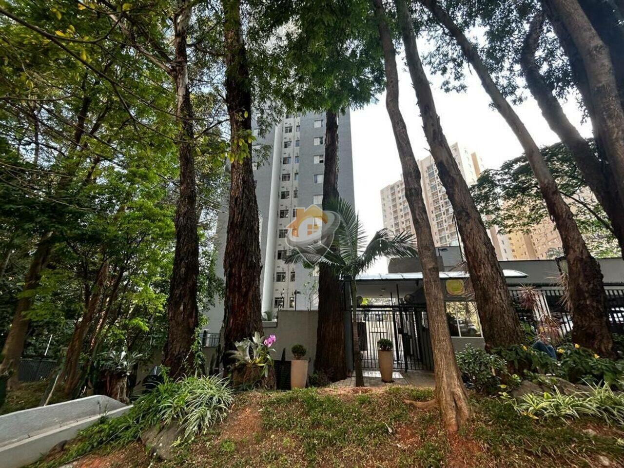 Apartamento Jardim Íris, São Paulo - SP