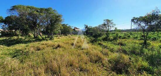 Grama - Garopaba - SC, Garopaba - SC